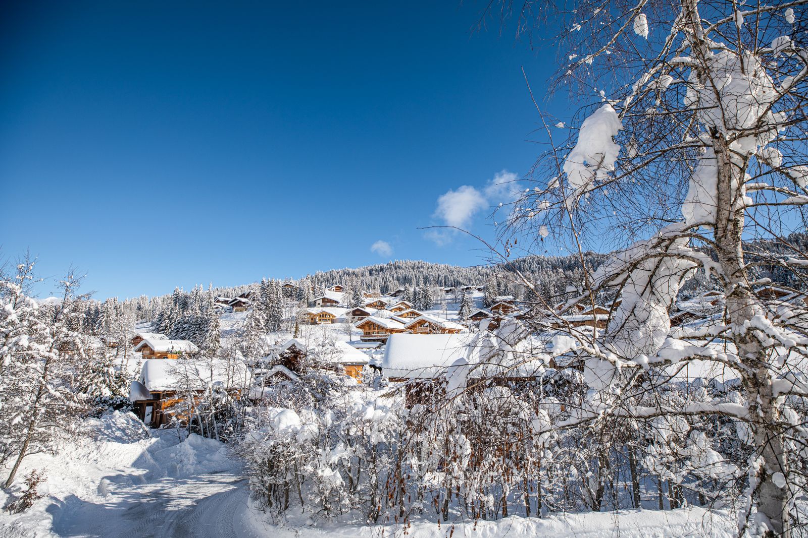 Acheter un appartement aux Gets - Immo Select